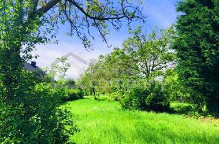 Grundstück zu kaufen in 7091 Breitenbrunn am Neusiedler See, Baugrund 4 in Höhenlage am Naturschutzgebiet