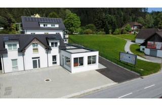 Büro zu mieten in 8190 Birkfeld, Repräsentativer Firmenstandort - moderne barrierfreie Gewerbe/Geschäftsfläche/Ordination/Praxisräume mit Parkplätze