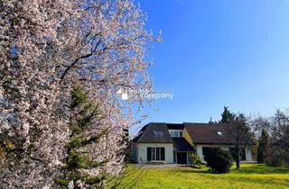 Villen zu kaufen in 7091 Breitenbrunn am Neusiedler See, Herrenhaus -Luxusvilla in bester Lage -Die Gelegenheit