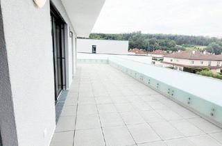 Wohnung mieten in Hauptstraße 20, 4707 Schlüßlberg, 3 Zimmer Dachterrassenwohnung - 85m² - mit 71,51 m² großer Terrasse - Tiefgarage - Schlüßlberg Hauptstraße 20 - Top 12