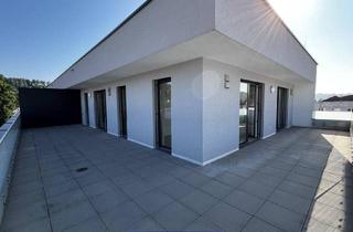 Wohnung mieten in Hauptstraße 20, 4707 Schlüßlberg, 3 Zimmer Dachterrassenwohnung - 85m² - mit 71,51 m² großer Terrasse - Tiefgarage - Schlüßlberg Hauptstraße 20 - Top 12