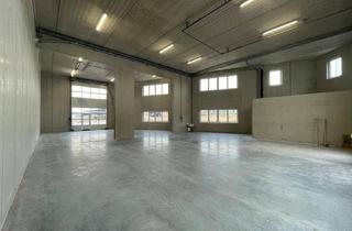 Büro zu mieten in Wolframstraße, 4611 Buchkirchen, SCHNELLBEZUG! Betriebs-/Produktions- oder Lagerhalle mit ca. 216 - 329 m² Fläche in Buchkirchen bei Wels zu vermieten
