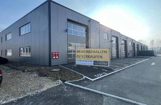 Büro zu mieten in Wolframstraße, 4611 Buchkirchen, SOFORTBEZUG! Betriebs-/Produktions- oder Lagerhallen mit ca. 216 - 329 m² Fläche in Buchkirchen bei Wels zu vermieten