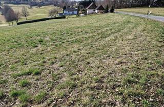 Grundstück zu kaufen in 7540 Güssing, Eigenheimbaugründe in Aussichtslage