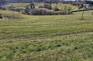 Grundstück zu kaufen in 7540 Güssing, Baugrundstücke in Aussichtslage