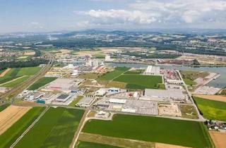 Gewerbeimmobilie kaufen in 4482 Ennsdorf, 3 zusammenhängende Betriebsbaugrundstücke