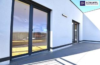 Haus mieten in Reiteregg, 8113 Sankt Oswald bei Plankenwarth, GRANDIOSE Doppelhaushälfte in IDYLLISCHER LAGE in den Weinbergen - mit DOPPELGARAGE, GARTEN, TERRASSE & DACHTERRASSE! Höchste Energieeffizienz mit Erdwärmeheizung für modernes Wohnen und Genießen!