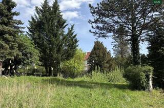 Grundstück zu kaufen in Höhenstraße, 1170 Wien, Idyllisches Grundstück in Neuwaldegg – Ihr Rückzugsort im Grünen