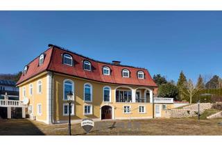 Villen zu kaufen in 2391 Kaltenleutgeben, "Exklusiver Besitz mit unverbaubarer Aussicht!"