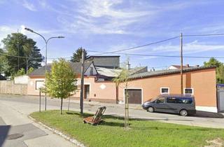 Haus kaufen in 2214 Auersthal, Schönes Haus in Auersthal