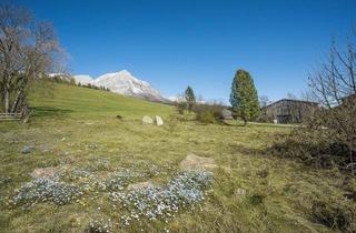 Grundstück zu kaufen in 6352 Ellmau, Sonnenverwöhntes Grundstück am Fuße des Wilden Kaisers