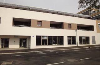 Praxen mieten in Gabrieler Straße, 2340 Mödling, Physio oder Gemeinschaftspraxis in Mödling