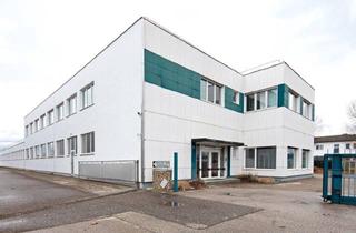 Büro zu mieten in 4407 Dietach, 175m² moderne Bürofläche in Dietach – Mit Top-Ausstattung und 2 Stellplätzen!