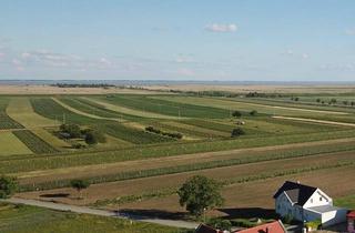 Haus mieten in 7091 Breitenbrunn am Neusiedler See, Modernes Wohnparadies mit Weitblick – Ihr neues Zuhause am Neusiedler See!