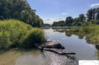 Wohnung kaufen in 2402 Haslau an der Donau, HIER LÄSST ES SICH LEBEN! Durchdachte Kleinwohnungen für Naturliebhaber in WIEN-NÄHE!