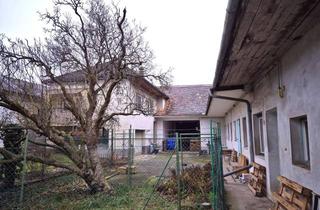 Mehrfamilienhaus kaufen in 2041 Wullersdorf, Mehrfamilienhaus auf einem großem Grundstück
