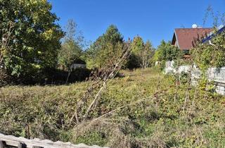 Grundstück zu kaufen in 2000 Stockerau, EXKLUSIVES BAUGRUNDSTÜCK OHNE BEBAUUNGSVERPFLICHTUNG