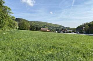 Grundstück zu kaufen in 2371 Weissenbach bei Mödling, Großes Grundstück 4.267m² in Weissenbach/Hinterbrühl mit vielen Möglichkeiten!