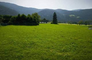 Grundstück zu kaufen in 9542 Afritz am See, Bauparzelle zum kleinen Preis in 1A-Lage am Afritz See – ideal für den Bau eines Bungalows oder Tiny Houses.