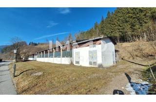 Immobilie mieten in Hauslehen, 3342 Graben, Lager-, Montage- u.o. Produktionshallen mit Freiflächen in Opponitz - Ybbstal zu mieten