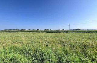 Grundstück zu kaufen in 4775 Taufkirchen an der Pram, Ebener Baugrund in sonniger Ortsrandlage