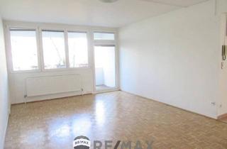 Loft kaufen in 2344 Maria Enzersdorf, "Einfach einziehen und Wohnen!"