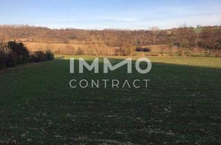 Grundstück zu kaufen in 2123 Unterolberndorf, Verwirklichen Sie Ihr Traumhaus