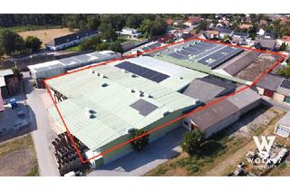 Immobilie mieten in 2284 Untersiebenbrunn, Gewerbeobjekt mit Lagerhallen und Bürotrakt sowie Wohnhäuser I Mehrere Hallen verfügbar! I 672m2 - 1500m2 Nutzfläche