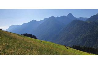 Einfamilienhaus kaufen in 9912 Asch, Entzückendes Haus mit Traumaussicht im Hochpustertal