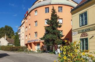 Wohnung mieten in Pötzleinsdorfer Straße, 1180 Wien, Geräumige 2 Zimmer Wohnung im Grünen