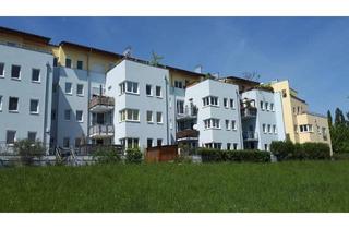 Gewerbeimmobilie kaufen in Ferstlergasse, 3100 Sankt Pölten, ST. PÖLTEN XI, Geschäftsräumlichkeit, 1 (Parkplätze 1,2,3,22,23 enthalten), 1000/00010490/00002001