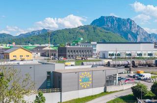 Lager kaufen in Aubauerstrasse 2, 4810 Gmunden, Perfektes Gewerbeobjekt!