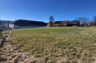 Grundstück zu kaufen in 3383 Hürm, GÜNSTIGER BAUGRUND FÜR JUNGFAMILIEN!!!