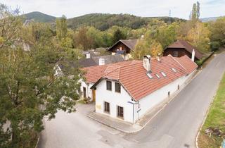 Haus kaufen in Wr. Neustadt, 2731 Dörfles, Kleines Anwesen für Pferdefreunde