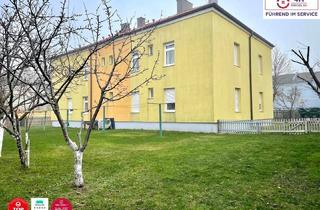 Mehrfamilienhaus kaufen in Hanuschgasse, 2540 Bad Vöslau, MEHRFAMILIENHAUS IM ANGEBOTSVERFAHREN - in Bestlage – 4 Wohneinheiten