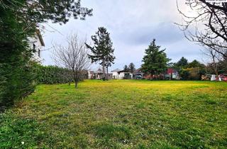 Grundstück zu kaufen in 2283 Obersiebenbrunn, Stadtgrenze Wien, nicht aufgeschlossenes Grundstück,Nähe Gänserndorf