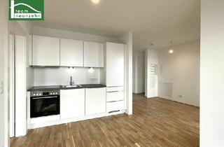 Penthouse kaufen in Taubergasse, 1170 Wien, Modernes Wohnen trifft perfekte Lage – Alle Einheiten vermietet!