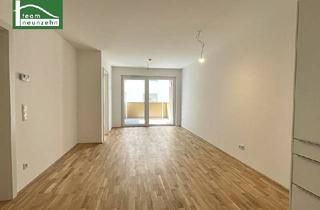 Penthouse kaufen in Taubergasse, 1170 Wien, Hochwertige Wohnungen mit urbanem Flair – Vollständig vermietet!
