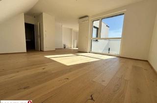 Maisonette kaufen in Kirschenallee, 1220 Wien, ERSTBEZUG | Gemütliche Dachgeschoss-Maisonette mit beeindruckender Terrasse | Nächst der Lobau