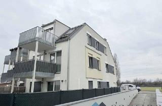 Wohnung kaufen in 1100 Wien, Herrlich! Sonnige DG - Wohnung in der Rustenfeld Siedlung! BJ 2018