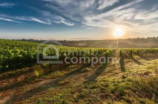 Agrarfläche kaufen in 1100 Wien, Rarität - Ackerfläche - bewirtschaften od. investieren