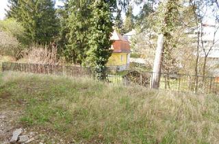 Penthouse kaufen in Franz-Glaser-Gasse, 1170 Wien, "Wohntraum" Erstbezug mit Terrasse oder Garten im Cottageviertel vom 17.Bezirk