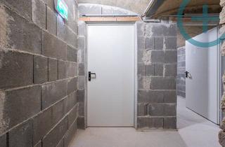 Immobilie mieten in Draschestraße, 1230 Wien, LAGERFLÄCHE IM SANIERTEN ALTBAU