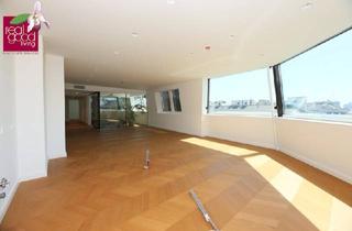 Wohnung mieten in 1010 Wien, Exklusives Wohnen im Herzen Wiens - Luxuriöses Dachgeschoss mit 4 Zimmern, Garage und hochwertiger Ausstattung