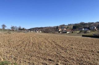 Grundstück zu kaufen in 7534 Olbendorf, Olbendorf: Sehr schönes, sonniges Grundstück!