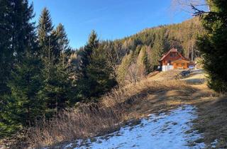 Grundstück zu kaufen in 9431 Rieding, Zwei einzigartige Baugründe auf der Koralpe