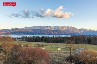 Wohnung mieten in 4864 Attersee, Attersee: Traumhafte Neubau- Terrassen Wohnung mit Seeblick
