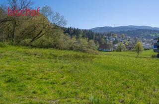 Grundstück zu kaufen in 6858 Schwarzach, Schönes Grundstück in leichter Hanglage