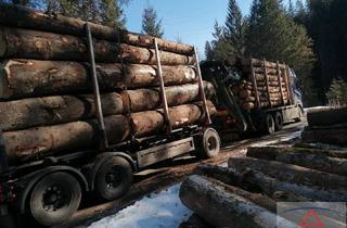 Gewerbeimmobilie kaufen in 3681 Hofamt Priel, Wirtschaftswald