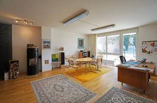 Büro zu mieten in 3002 Purkersdorf, Büro-Nutzung - Moderne 3-Zimmer in Hauptplatznähe: Erdgeschoß mit PKW-Stellplatz und Eigengarten